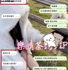 【私藏極品】小堤-果不其然!他信樂清沒有錯☺️ 只能說沒有對比就沒有傷害嘿嘿