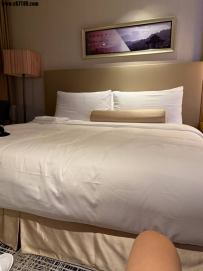 #西屯區 旅館：日月千禧酒店 住宿價位:5300